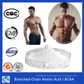 Nutrition sportive Musculation Poudre Branche Chaîne Amino Acide Bcaa